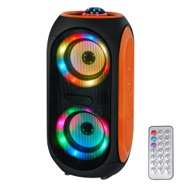 Bluetooth zvucnik P101 2x4