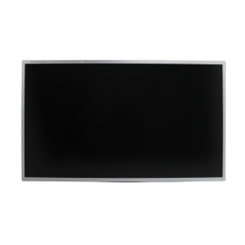 LCD Panel 17.3