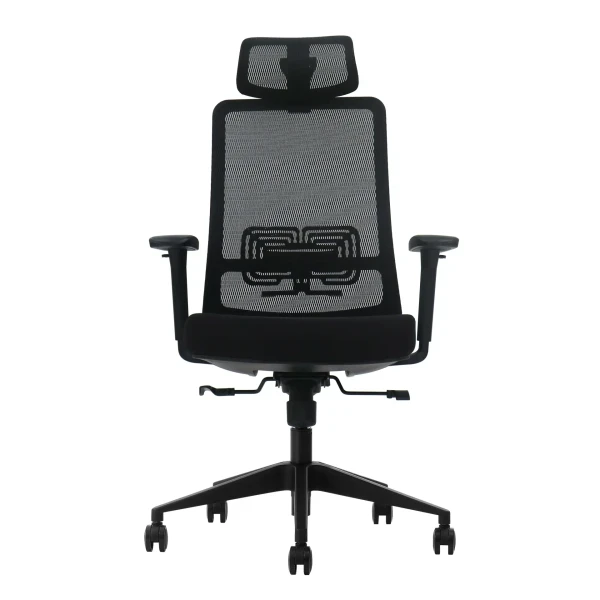 Ergonomska kancelarijska stolica UGD LumbarMax