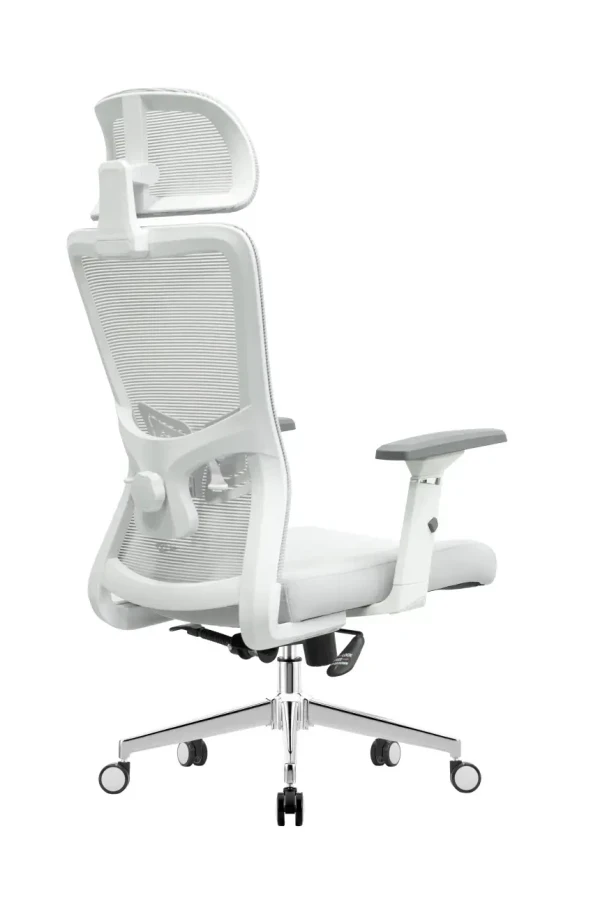 Ergonomska kancelarijska stolica UGD Silver Polare