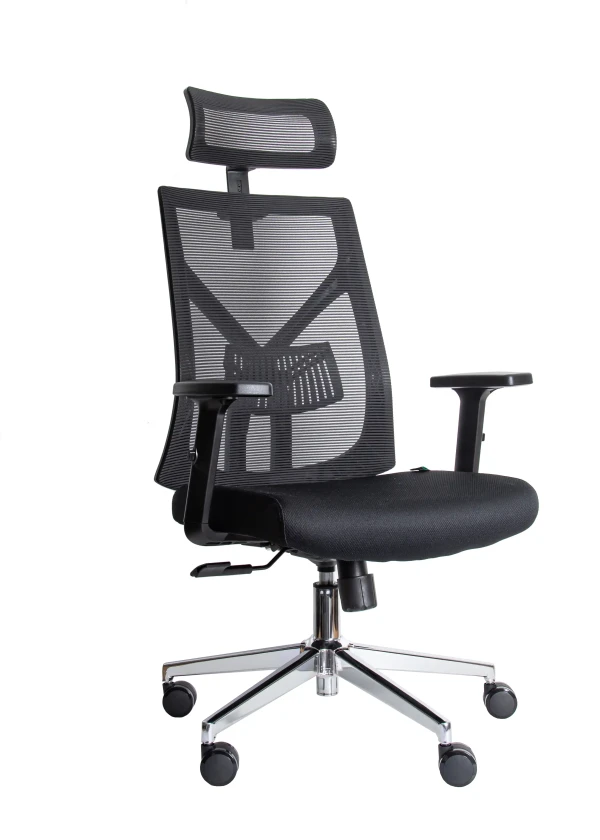 Ergonomska kancelarijska stolica UGD Aura D32