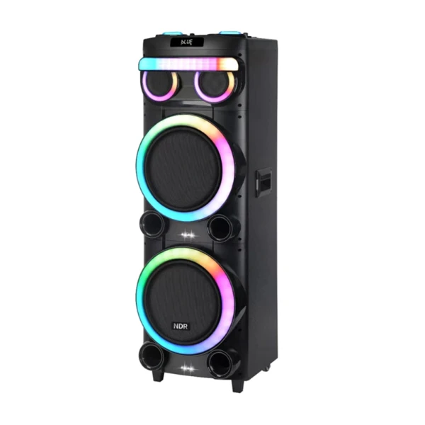 Zvucnik bluetooth ndr-21280 100w 2*12 inca sa dva mikrofona crni