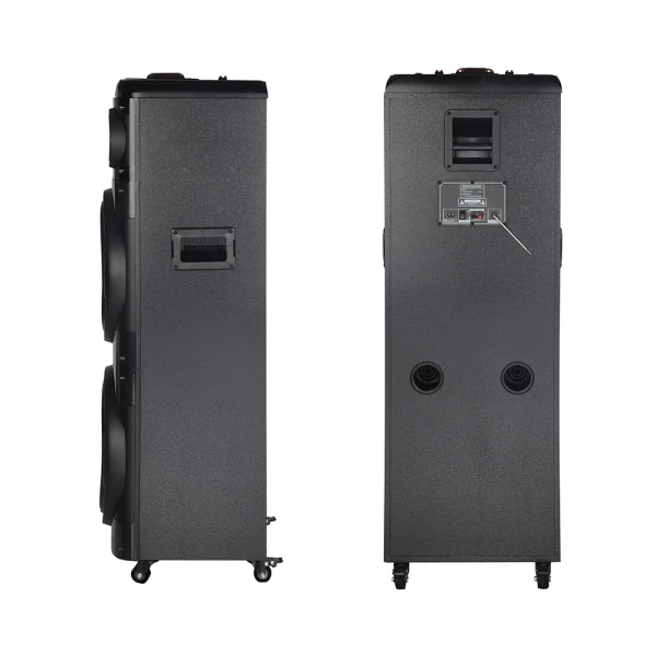 Zvucnik bluetooth ndr-2260 100w 2*12 inca sa dva mikrofona crni
