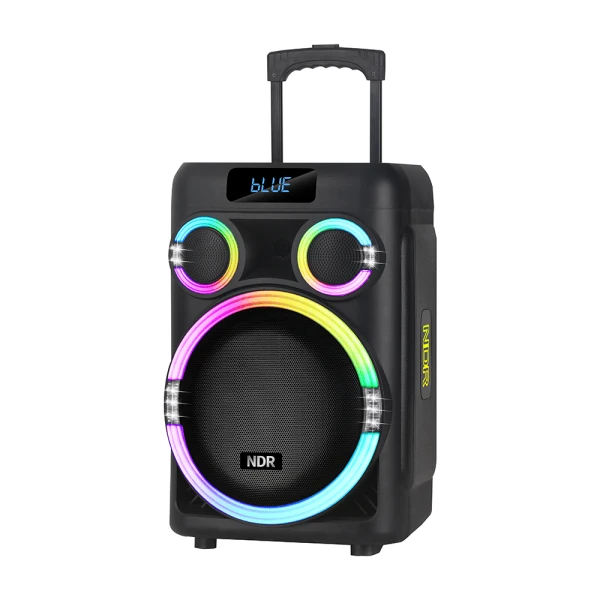 Zvucnik bluetooth ndr-b315 60w 15inca sa dva mikrofona crni