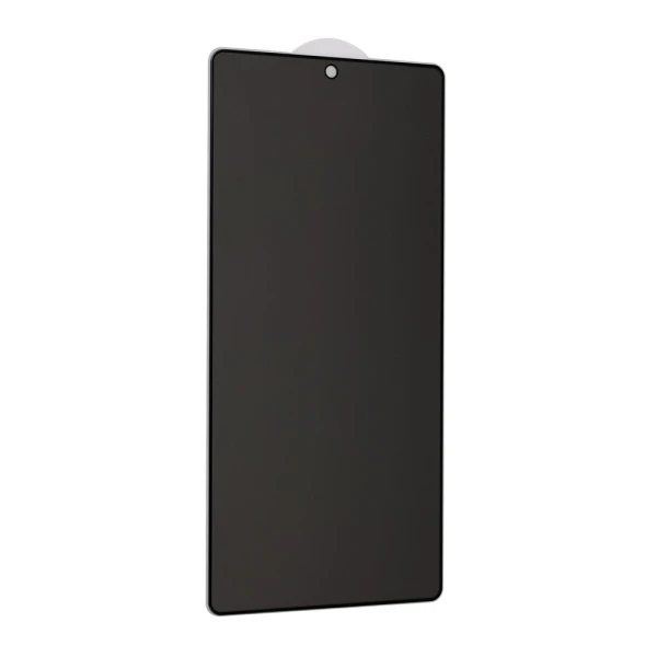 Zastitno staklo Tempered Glass Privacy 2.5D full glue za Samsung S938B Galaxy S25 Ultra crni (fingerprint unlock)