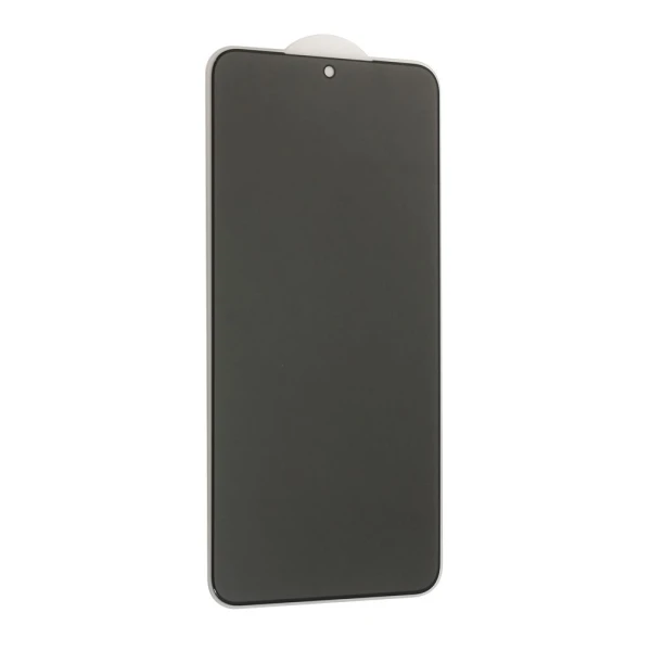 Zastitno staklo Tempered Glass Privacy 2.5D full glue za Samsung S901B Galaxy S22 5G crni (fingerprint unlock)