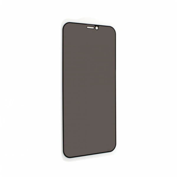 Zastitno staklo Tempered Glass Privacy 2.5D full glue za iPhone 12 Mini 5.4 crna