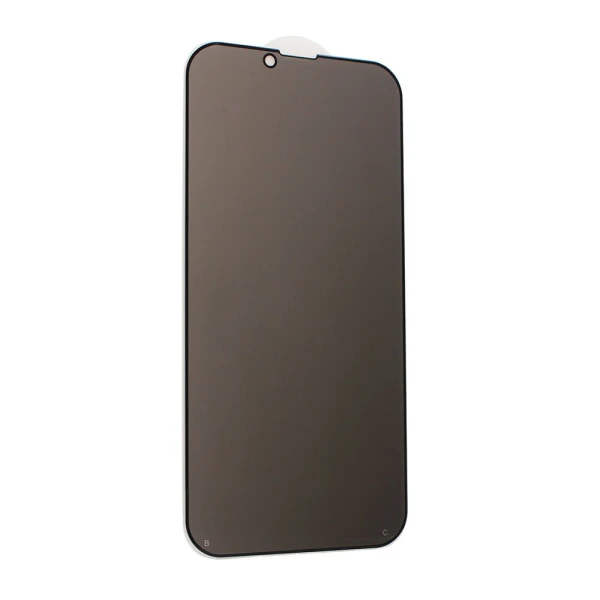 Zastitno staklo Tempered Glass Privacy 2.5D full glue za iPhone 13 Pro Max/14 Plus 6.7 crni