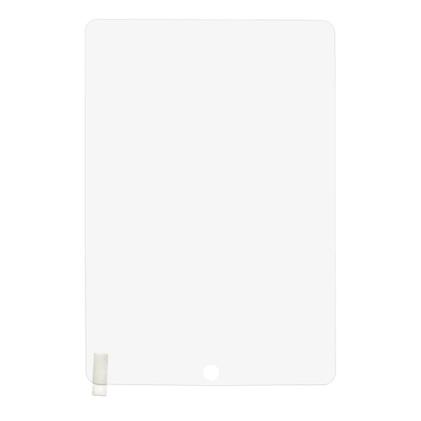 Zastitno staklo Tempered Glass Plus za iPad 10.2 2021
