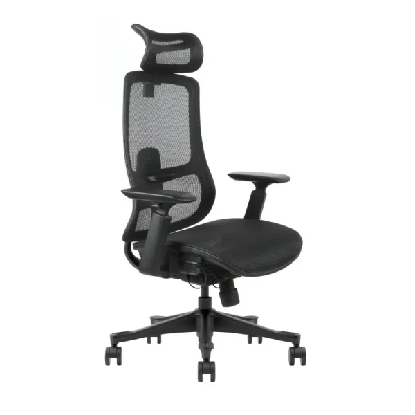 Ergonomska kancelarijska stolica UGD Task Master Mesh