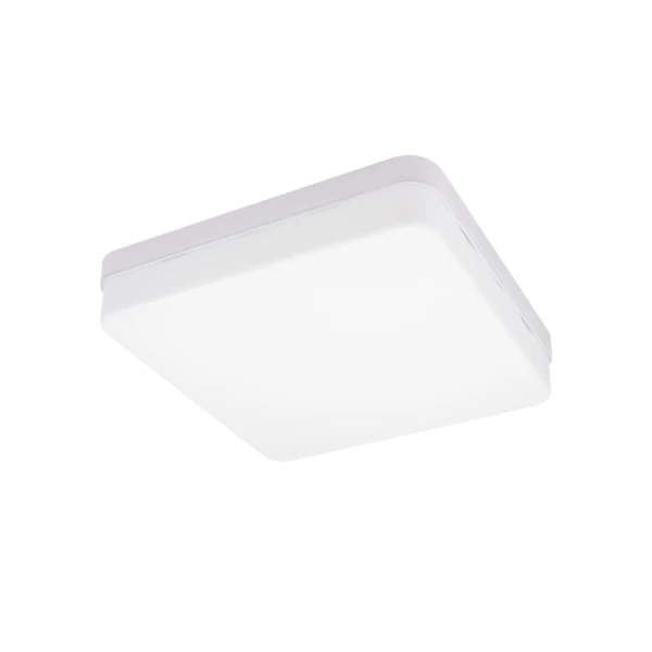 LED plafonjera 24W hladno bela